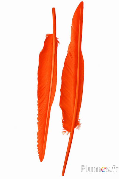 Zwaan - 28-33 cm - oranje rood